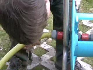 Schnappschuss 31