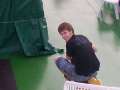 Bild 006
