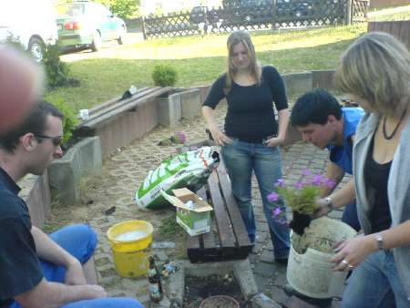heckenpflanzen15