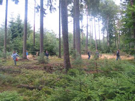 2006 124 Kerb 1.Tannen holen 089