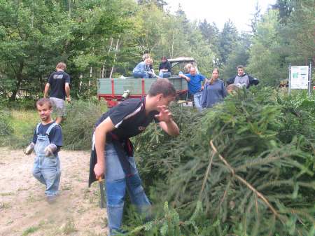 2006 124 Kerb 2.Tannen holen 068