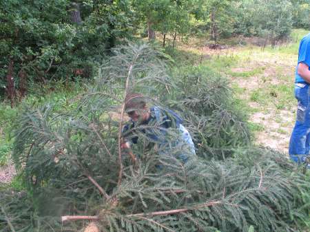 2006 124 Kerb 2.Tannen holen 073