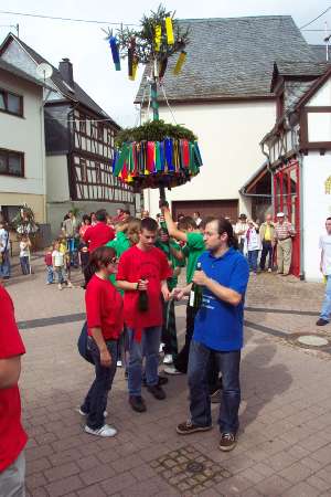 DCP_3009