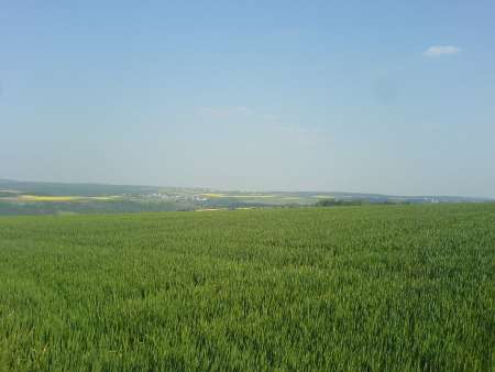 maibaumholen07